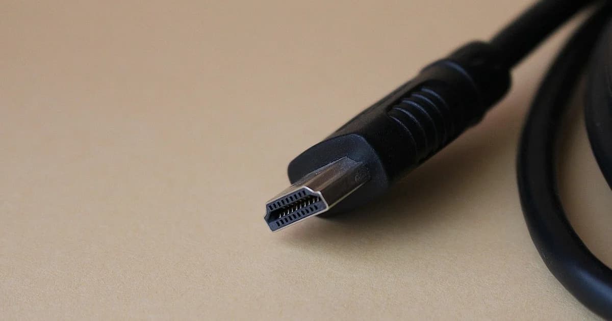 HDMI cable plug, the input a capture card takes from a camera or console