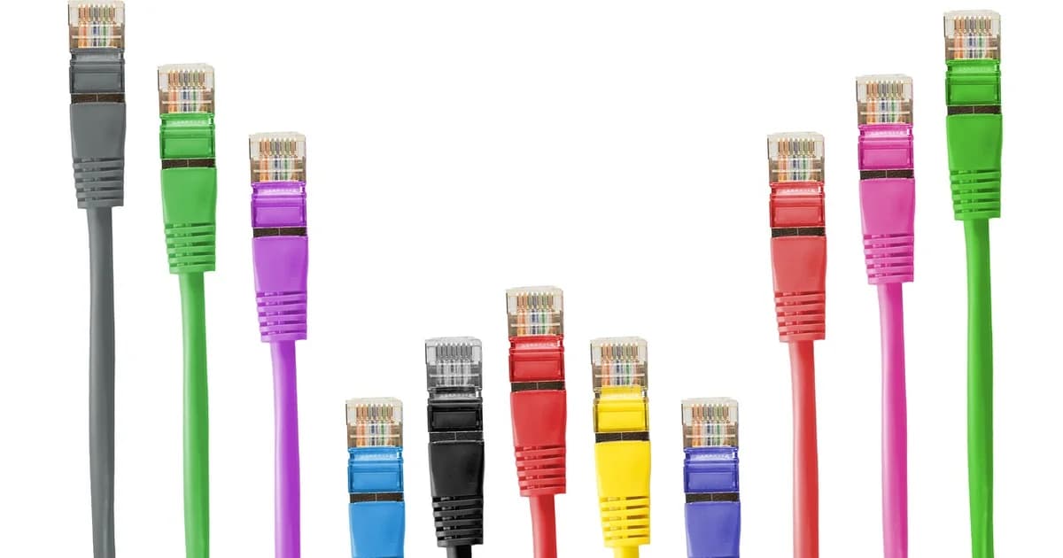 cable, patch, patch cord, rj, rj45, rj-45, network, network cable, management, dsl, data processing, connection, plug, macro,